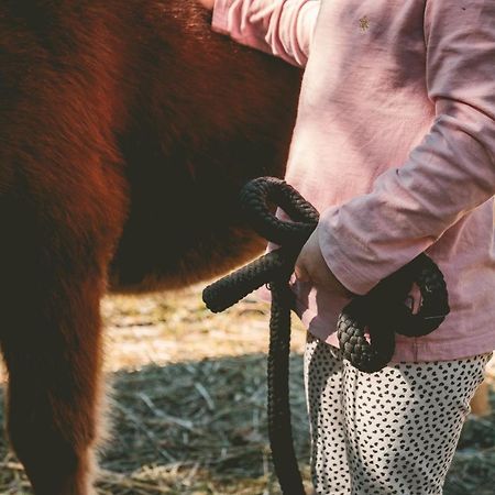 Familienhotel Replerhof Mit Kinderbetreuung Prägraten エクステリア 写真