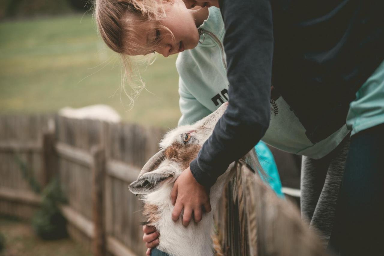 Familienhotel Replerhof Mit Kinderbetreuung Prägraten エクステリア 写真
